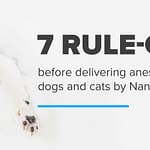 7 rule-outs before delivering anesthesia to healthy dogs and cats by Nancy Brock DVM