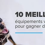 Les 10 meilleurs équipements vétérinaires pour gagner de l’espace !