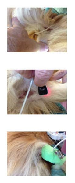 Masimo Transflectance Sensor