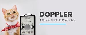 Doppler Maintenance Guide - 4 Crucial Points to Remember