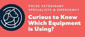 Curious to Know Which Equipment Pulse Veterinary Specialists & Emergency is using? 