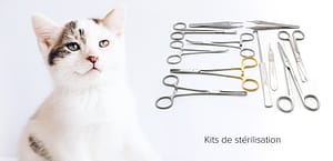 Instruments de stérilisation vétérinaire - Guide d'achat 2021