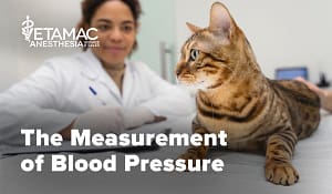 Vol 3 Blood Pressure - Part 2