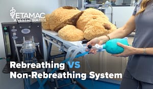 Rebreathing vs non-rebreathing