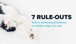 7-steps analysis anesthesia