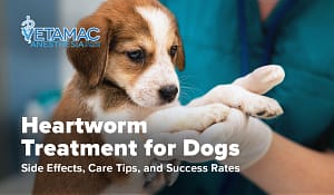 Dog Heartworm Treatment