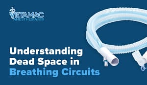 Understanding Dead Space in Breathing Circuits