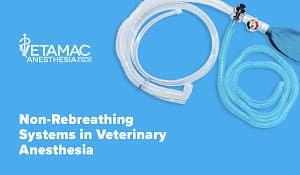 Non-rebreathing systems in anesthesia