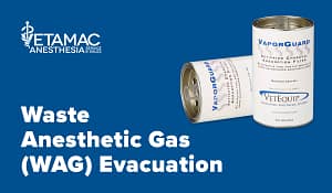 WAG Evacuation