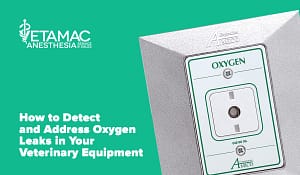 How to Detect and Address Oxygen Leaks in Your Veterinary Equipment