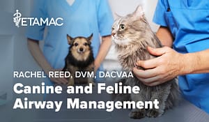 Canine and Feline Airway Management