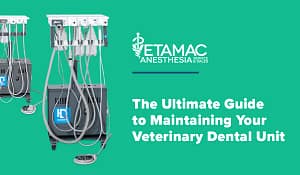 Dental Maintenance Guide