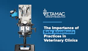 Importance of Safe Anesthesia