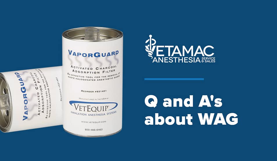 Vol. VIII: Q And A's About WAG - Vetamac