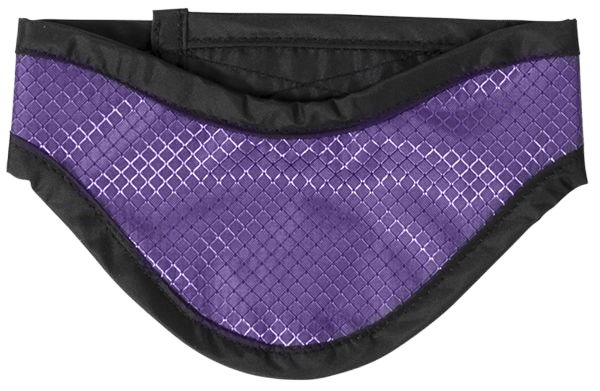Metallic Purple