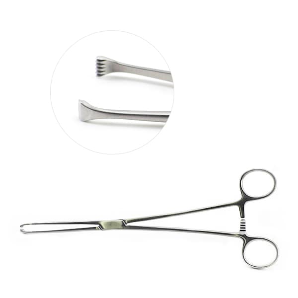 Allis Tissue Forceps 7 1/2", 5x6 teeth