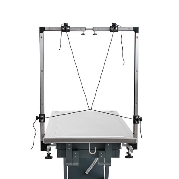 BOSS+: The Ideal Solution for Brachycephalic and Oropharyngeal Patients