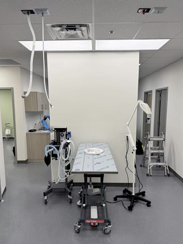 Clinic Opening of Horsman Road Veterinary Hospital