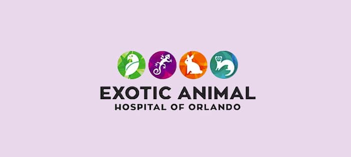 Exotic Animal Hospital Orlando