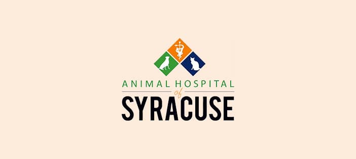 Animal Hospital of Syracuse Testimonial