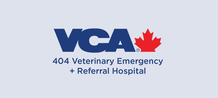 404 Veterinary Emergency