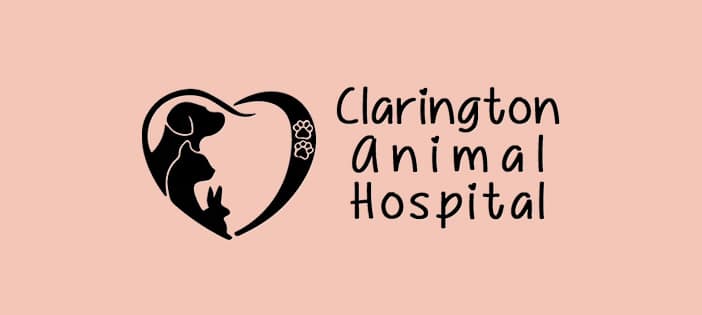 Clarington Animal Hospital