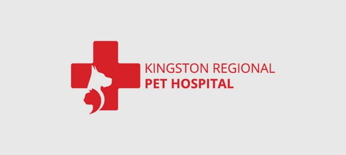 Kingston Regional Pet Hospital