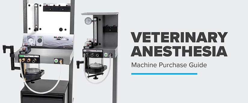 Veterinary Anesthesia Machine Purchase Guide