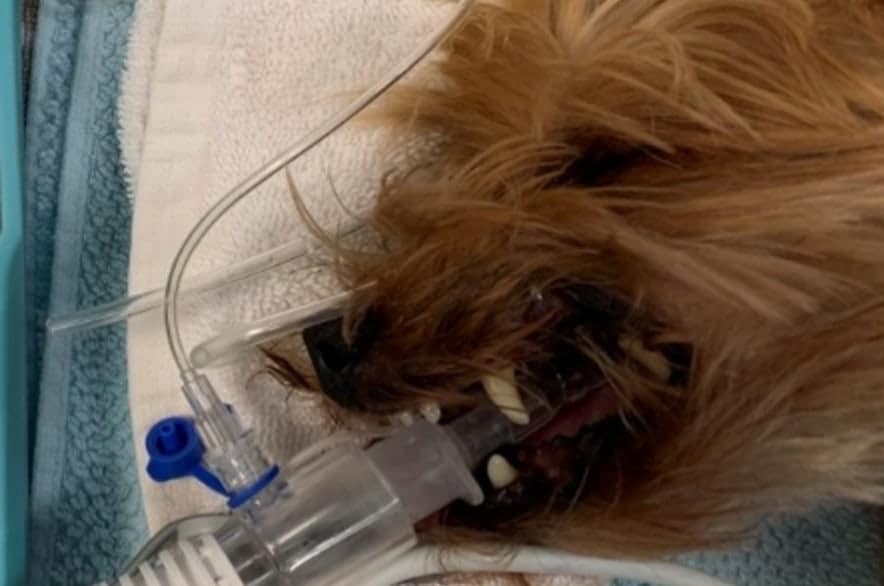 Troubleshooting checklist