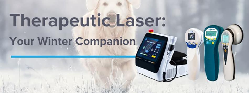 Preparing Your Patients for Cold Season: Combatting Osteoarthritis with Multi Radiance Therapeutic Lasers