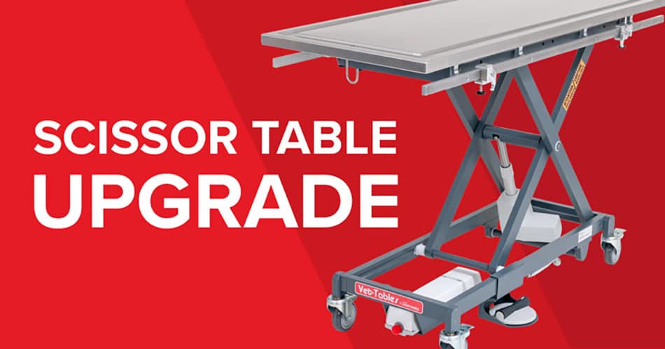 Dispomed’s Bluetooth Scissor Table: Wireless Innovation for Veterinary Excellence