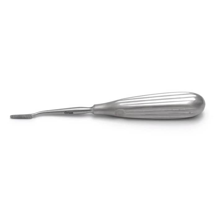 Fine Molar Rasp (Rodent) - Veterinary Dental Instruments