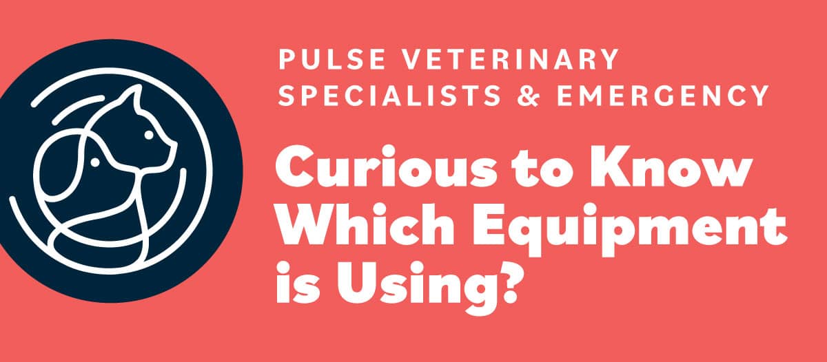 Curious to Know Which Apparatus Pulse Veterinary Experts & Emergency is the use of? 